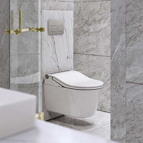 Toto Washlet RW Auto Flush Wall Hung Shower Toilet + Concealed WC Cistern with Wall Hung Frame