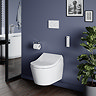 Toto Washlet RX Rimless Wall Hung Shower Toilet & Remote Control
