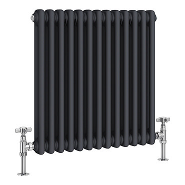 Traditional 600 x 605mm Vertical 2 Column Anthracite Radiator  Profile Large Image