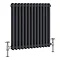 Traditional 600 x 605mm Vertical 2 Column Anthracite Radiator Large Image