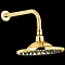 Hudson Reed Traditional 8 inch Fixed Shower Rose - Antique Gold Large Image