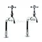 Hudson Reed Traditional Bib Taps and Upstands - KD302 Large Image