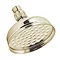Traditional Gold 5" Apron Rose Shower Head with Swivel Joint  Profile Large Image