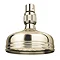 Traditional Gold 5" Apron Rose Shower Head with Swivel Joint Large Image