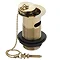 Traditional Gold Plated Slotted Basin Waste with Plug + Ball Chain Large Image