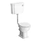 Traditional Low Level Toilet (Excluding Seat) Large Image