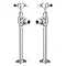 Traditional Mayfair Heated Towel Rail with Pair of Angled Crosshead Radiator Valves