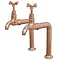 Traditional Rose Gold Kitchen Bib Taps + Upstands Large Image