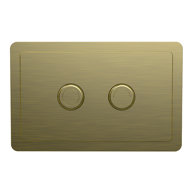 Trafalgar 2-Button Flush Plate – Antique Brass