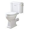 Trafalgar 560mm Basin with Brushed Brass Wash Stand & Close Coupled Toilet - 1 Tap Holes, Includes Toilet Seat