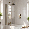 Trafalgar Antique Brass 6mm Glass Pivot Bath Screen - Curved Top