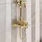 Trafalgar Brushed Brass Dual Exposed Shower Valve with Rigid Riser Kit, 200mm Round Apron Head, Handshower & Diverter