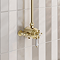 Trafalgar Brushed Brass Traditional Dual Exposed Thermostatic Valve with Rigid Riser Kit