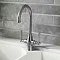 Trafalgar Brushed Nickel Dual Lever Kitchen Mixer Tap Large Image