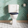 Trafalgar Close Coupled Toilet with Brushed Brass Flush - Excludes Seat