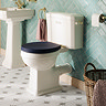 Trafalgar Close Coupled Toilet with Brushed Brass Flush + Soft Close Seat – Traditional Ceramic WC