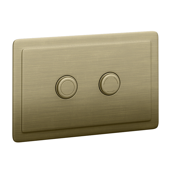 Trafalgar Compact Concealed Dual Flush Cistern with Antique Brass 2-Button Flush Plate