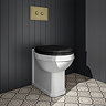 Trafalgar Compact Concealed Dual Flush Cistern with Antique Brass 2-Button Flush Plate