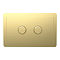 Trafalgar Compact Concealed Dual Flush Cistern with Brushed Brass 2-Button Flush Plate