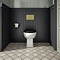 Trafalgar Compact Concealed Dual Flush Cistern with Brushed Brass 2-Button Flush Plate