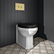 Trafalgar Compact Concealed Dual Flush Cistern with Brushed Brass 2-Button Flush Plate