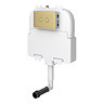 Trafalgar Compact Concealed Dual Flush Cistern with Brushed Brass 2-Button Flush Plate