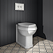 Trafalgar Compact Concealed Dual Flush Cistern with Chrome 2-Button Flush Plate