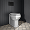 Trafalgar Compact Concealed Dual Flush Cistern with Matt Black 2-Button Flush Plate