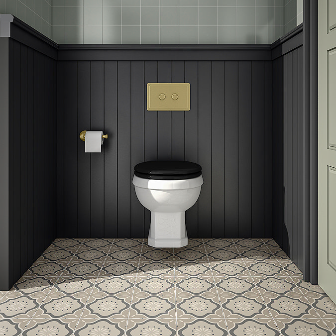 Trafalgar Compact Wall‑Hung Toilet Frame – Top/Front Flush with Dual‑Flush Cistern & Brushed Brass 2‑Button Plate