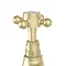 Trafalgar Traditional Crosshead Pillar Bath Taps (Pair) Brushed Brass