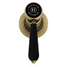 Trafalgar Lever Mono Basin Mixer Tap with Pop-Up Waste - Antique Brass with Black Levers