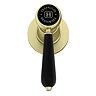 Trafalgar Lever Mono Basin Mixer Tap with Pop-Up Waste - Brushed Brass with Black Levers