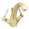 Trafalgar Lever Mono Basin Mixer Tap with Pop-Up Waste - Brushed Brass