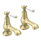 Trafalgar Lever Pillar Basin Taps (Pair) Brushed Brass