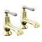 Trafalgar Lever Pillar Bath Taps (Pair) Brushed Brass