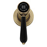 Trafalgar Lever Wall Mounted Bath Spout and Stop Taps - Antique Brass with Black Levers