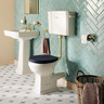 Trafalgar Low Level Toilet - Brushed Brass (Excludes Seat)
