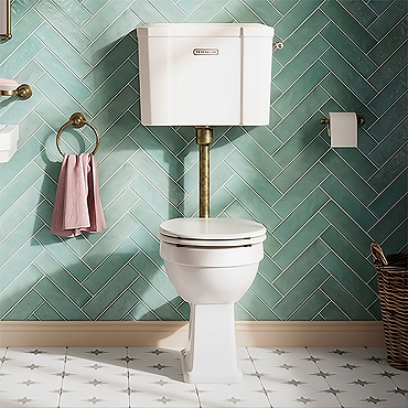Trafalgar Low Level Toilet with Soft Close Seat - Antique Brass - Traditional Ceramic WC
