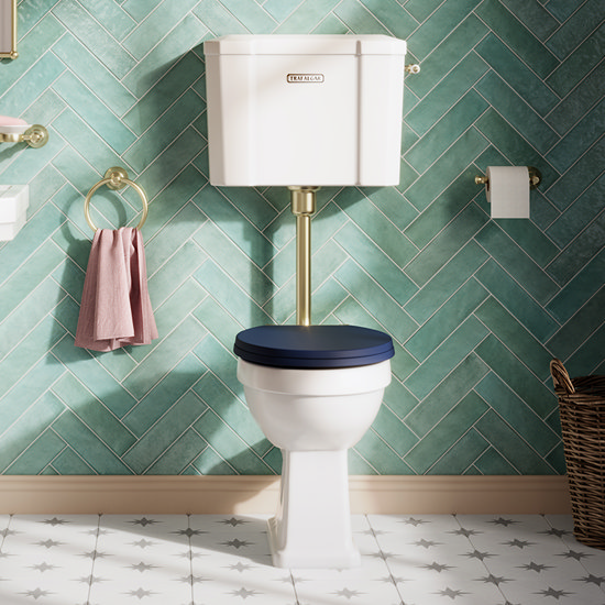 Trafalgar Low Level Toilet with Soft Close Seat - Brushed Brass - Traditional Ceramic WC