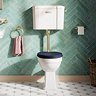 Trafalgar Low Level Toilet with Soft Close Seat - Brushed Brass - Traditional Ceramic WC