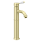 Trafalgar Single Lever Tall Basin Tap - Brushed Brass