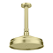 Trafalgar Traditional 200mm Shower Head with Ceiling Mounted Arm - Brushed Brass