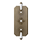 Trafalgar Traditional Antique Brass Shower with Concealed Valve, Ceiling Mounted 8" Head + Handset