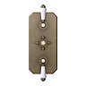 Trafalgar Traditional Antique Brass Shower with Concealed Valve, Wall Mounted 8" Head + Handset