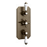 Trafalgar Traditional Antique Brass Shower with Concealed Valve, Wall Mounted 8" Head + Handset