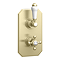 Trafalgar Traditional Brushed Brass Shower with Concealed Valve + 8" Head