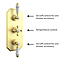 Trafalgar Traditional Brushed Brass Shower with Concealed Valve, Ceiling Mounted 8" Head + Handset