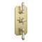 Trafalgar Traditional Brushed Brass Shower with Concealed Valve, Ceiling Mounted 8" Head + Handset