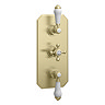 Trafalgar Traditional Brushed Brass Shower with Concealed Valve, Wall Mounted 8" Head + Handset