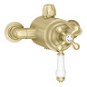Trafalgar Traditional Dual Exposed Thermostatic Shower Valve - Brushed Brass